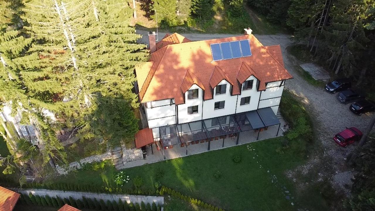 Berghof Eva - Hotel Panichishte Dış mekan fotoğraf